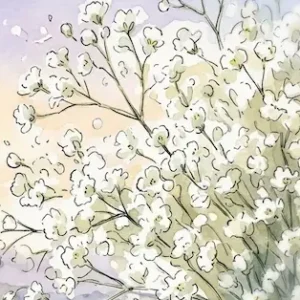 Những bông hoa baby trắng nhỏ li ti nở rộ thanh khiết