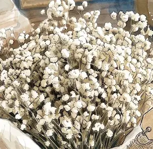 Bó hoa baby trắng khô bồng bềnh mang phong cách vintage cổ điển trên nền gỗ.