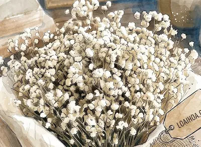 Bó hoa baby trắng khô bồng bềnh mang phong cách vintage cổ điển trên nền gỗ.